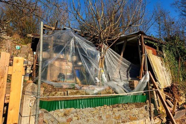 Illegal errichtete Htten im Naturschutzgebiet sind in Lrrach ein Dauerproblem