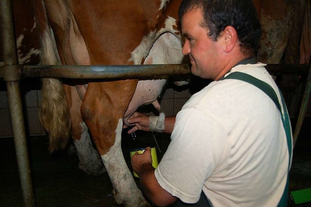 Christian Flamm beim Melken seiner Vorderwlder-Khe  | Foto: Christian Ringwald