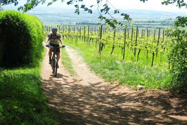 Radeln am Kaiserstuhl – ein toller Ausflug fr Biker jeder Preisklasse