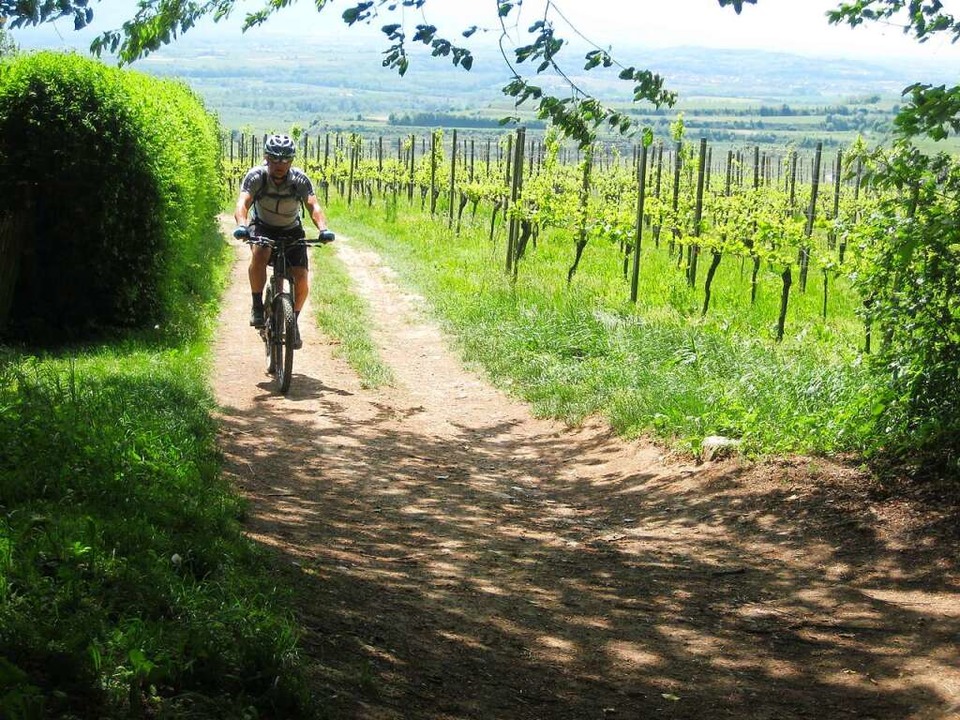 Aus der prallen Sonne geht&#8217;s in den khlen Schatten.  | Foto: Stefan Zahler