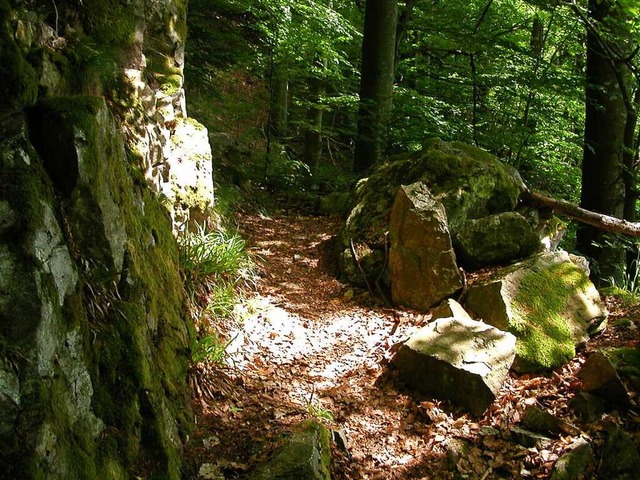 Wenn man wei, wo er war, dann ist er ... &#8222;sichtbar&#8220;: der Urgraben.  | Foto: christian ringwald