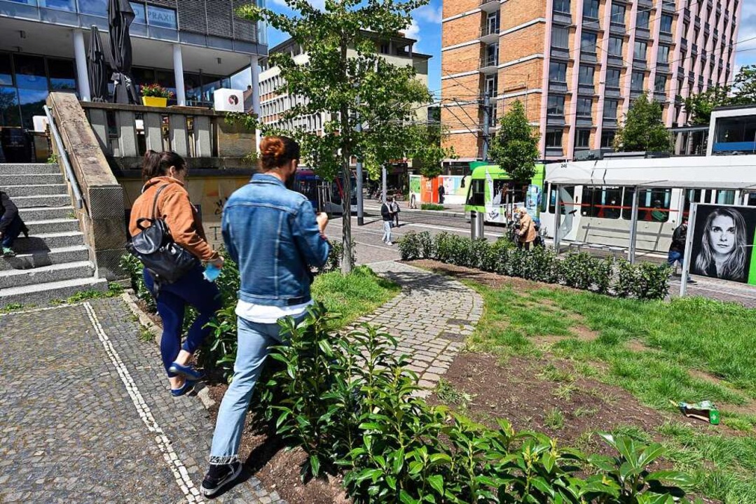 So ein Heckmeck: Auf dem kleinen Weg v...telle gibt es jetzt eine Bio-Barriere.  | Foto: Thomas Kunz