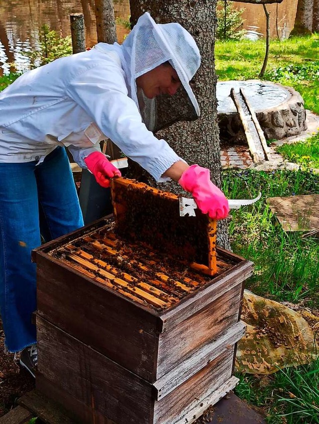 Tanja Walker schaut nach &#8222;ihren ...t den Bienen zum Glck nicht viel aus.  | Foto: Anja Bieber