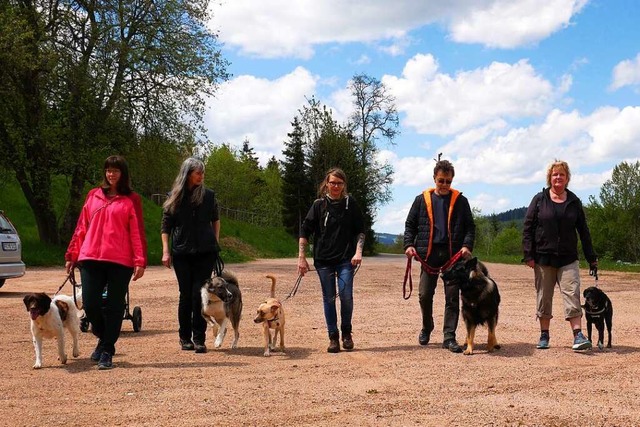 Die  gemischte Gruppe des Schferhunde...eneinander gehen ohne zu randalieren.   | Foto: Eva Korinth