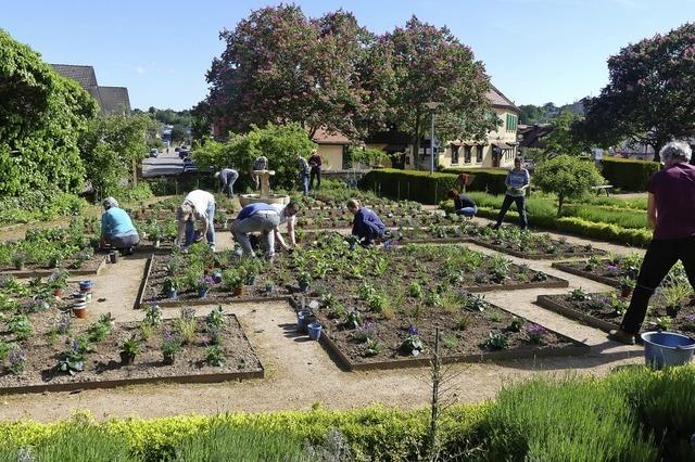 Pflanzenvielfalt im Prinzengarten