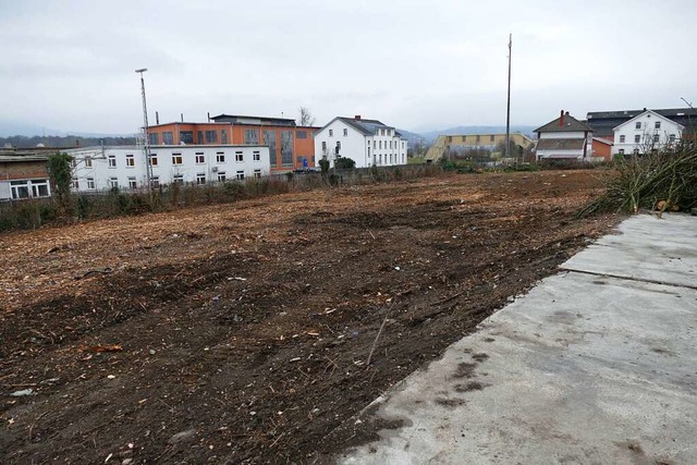 Hier sollen Huser gebaut werden.  | Foto: Verena Pichler