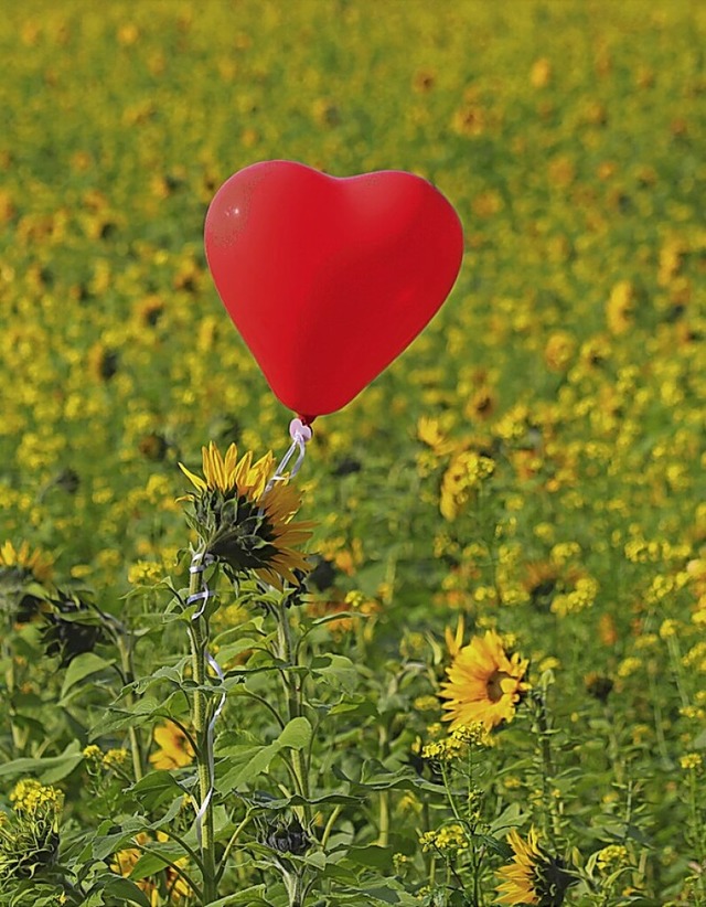 Mehr umweltfreundliches Denken ist das...st ein Leser den Luftballon entdeckt.   | Foto: Harald Hfler