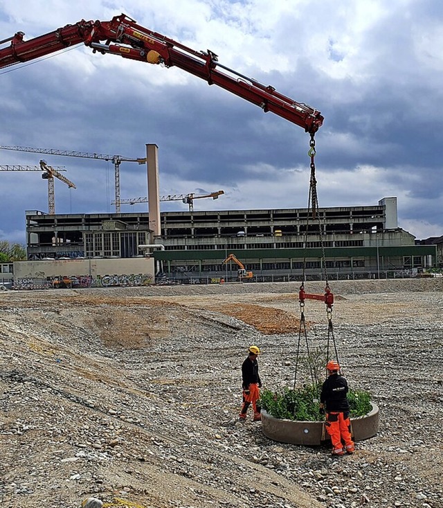 Das Lysbchel-Areal bietet Platz fr temporre Nutzungen.  | Foto: Yanick Frich