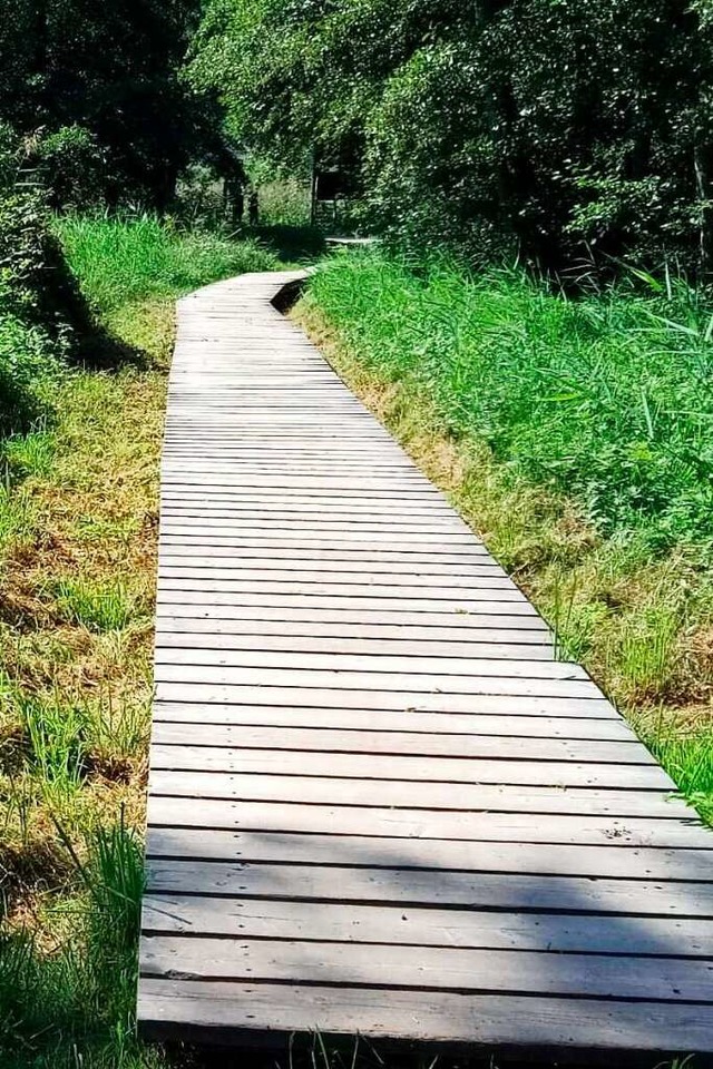 ber die Holzplanken durchs Litschental ins Gasthaus Schwert  | Foto: Helmut Stingl