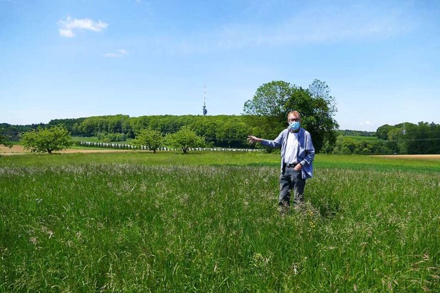 Einen Erdhgel auf dem Rhrberg oder S...deale Standorte fr seine Sun Machine.  | Foto: Dora Schls