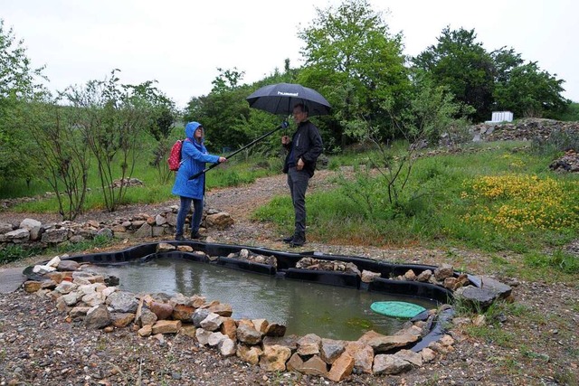 Auf das  Biotop zwischen Weinbergen am...einem Radiointerview) besonders stolz.  | Foto: Regine Ounas-Krusel