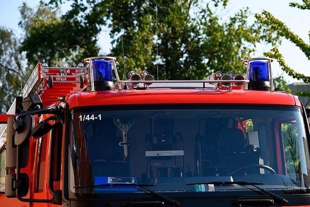 Feuerwehr lscht mit 85 Mann einen Flchenbrand bei Steinen