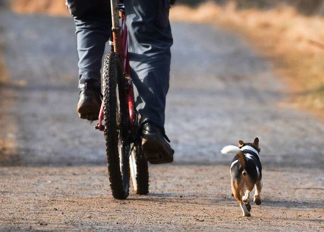 Freilaufende Hunde knnen fr Radfahre... eine oder andere Halter anders sieht.  | Foto: Frank Rumpenhorst