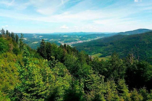 Aktivurlaub vor der Haustr: 3 Fernwanderwege rund um Freiburg