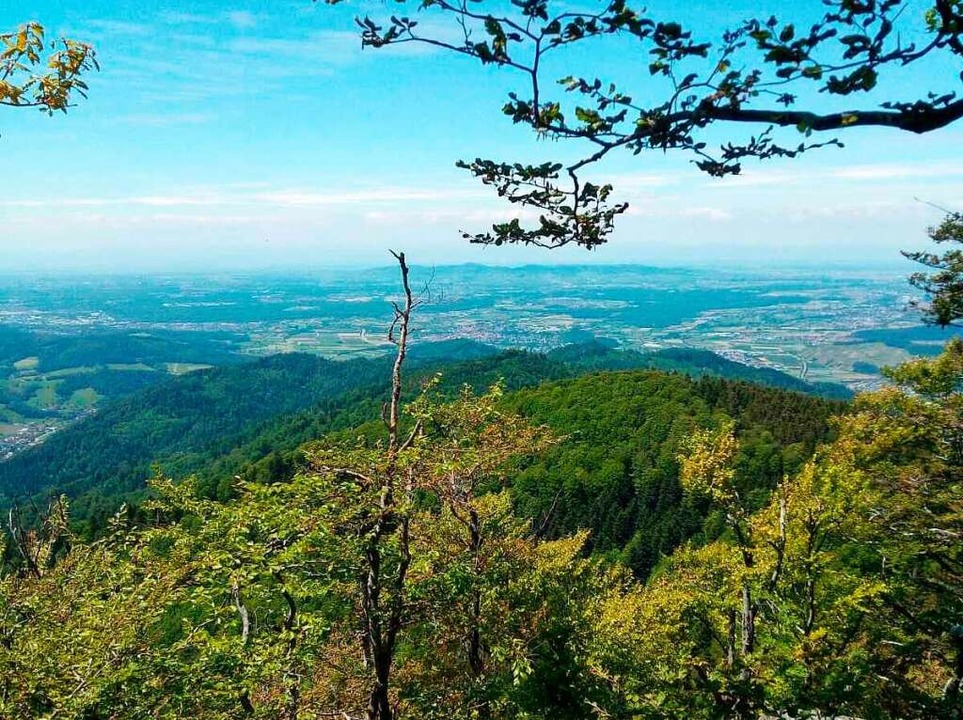 Egal, welchen Wanderweg ihr whlt: Die Aussicht ist immer toll  | Foto: Lara Schwalb