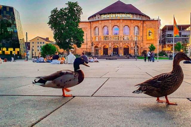 Betty und Herbert machen einen Entenspaziergang auf dem Platz der Alten Synagoge