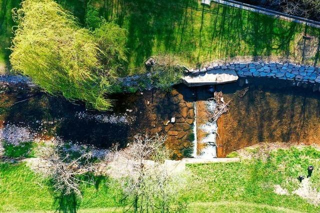 Warum die Kleine Wiese bei Langenau ein neues Flussbett erhlt