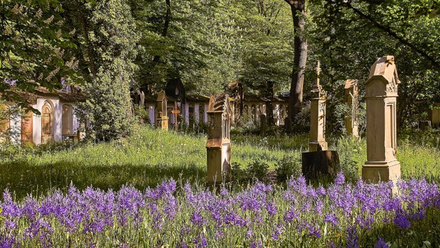 Erinnerungskultur und  ein echtes Idyl...ression vom Alten Friedhof in Freiburg  | Foto: Corinna Zimber