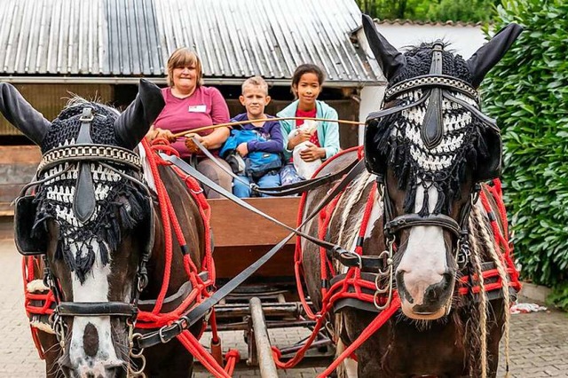 Vor zwei Jahren besuchten Kinder den F...Wildtal im Rahmen des Ferienprogramms.  | Foto: Hubert Gemmert