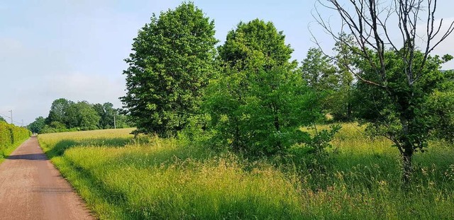 ber das Naturschutzverfahren fr das ... im Juli zum zweiten Mal entscheiden.   | Foto: Gerhard Walser