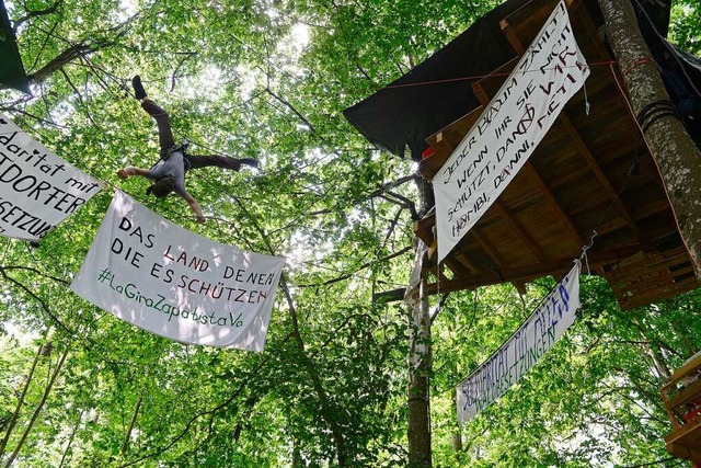 Ein Baumbesetzer steht im Langmattwldchen Kopf.  | Foto: Ingo Schneider