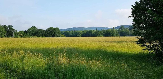 ber das Naturschutzverfahren fr das ...t im Juli zum zweiten Mal entscheiden.  | Foto: Gerhard Walser