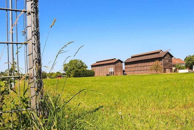 Gemeinderat Ringsheim gibt grnes Licht fr das Bauhofgebiet