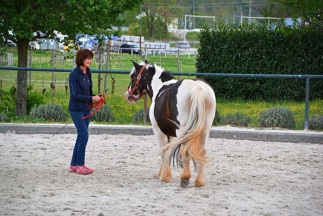 Andrea Straky und ihr Pferd Caspar  | Foto: Reittherapie - Institut Ifert