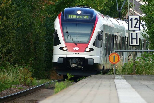Die Landkreis macht Druck fr einen schnelleren S-Bahn-Ausbau.  | Foto: Peter Gerigk