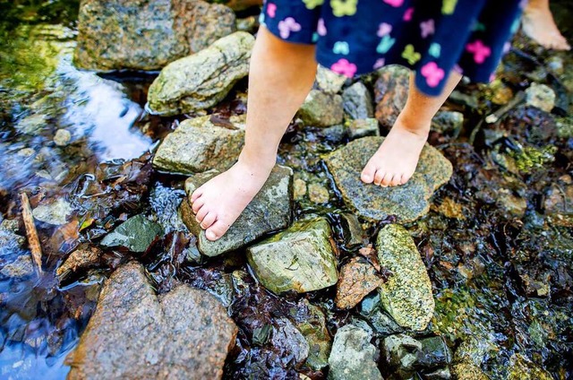 Kinder erleben  die Natur.  | Foto: Hauke-Christian Dittrich (dpa)