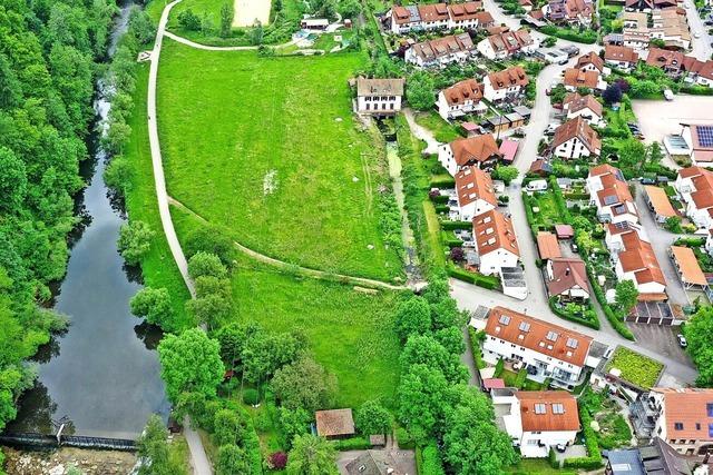 Investoren kontern Grnen-Kritik bezglich Bremt-Erweiterung