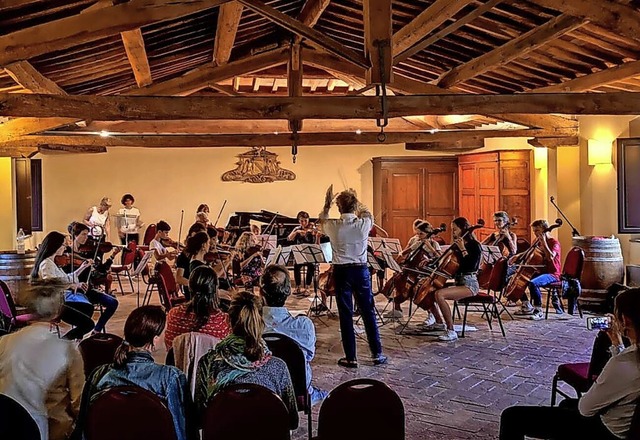 Bereits zum elften mal geht es fr die Jugendmusikschule nach Italien  | Foto: Jugendmusikschule Sdlicher Breisgau