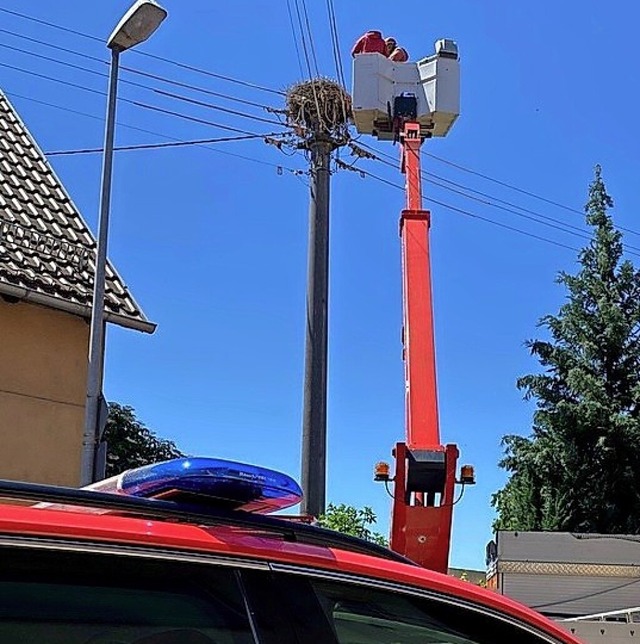 Bergungseinsatz in Zunsweier  | Foto: Feuerweh Offenburg 