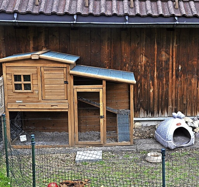 Aus diesem verriegelten Stall sind dre...ten, dass die Tiere gestohlen wurden.   | Foto: privat