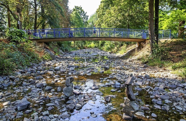 Der Fluss Neumagen in Bad Krozingen  fhrte im Drrejahr 2020 kaum noch Wasser.   | Foto: Philipp von Ditfurth (dpa)