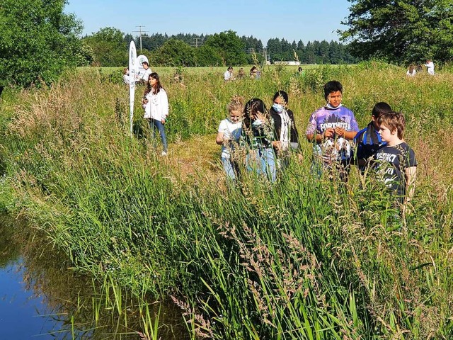 Auf die Suche nach sichtbarem Plastikm...n Mikropartikel aus Plastik im Wasser.  | Foto: Michael Strter