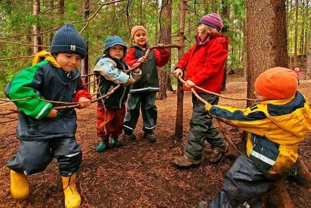Waldgruppe findet Zustimmung des Gemeinderats