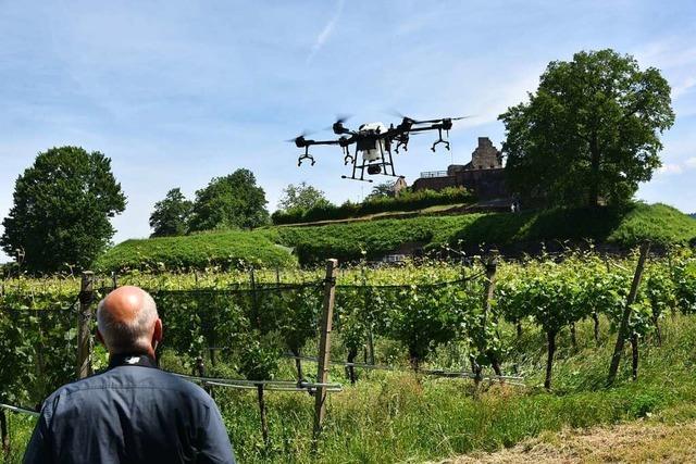 Mit der Drohne geht es zur Arbeit in den Weinberg