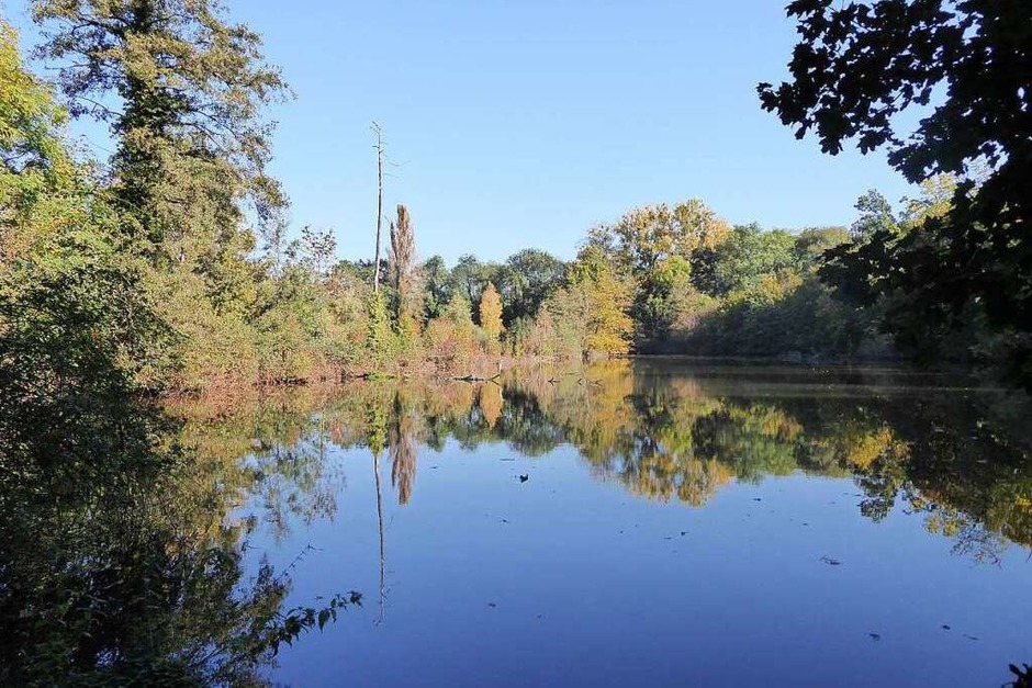 Eindrücke aus dem Landschaftspark Wiese (Foto: Rangerdienst Landschaftspark Wiese) Eindrücke aus dem Landschaftspark Wiese (Foto: Rangerdienst Landschaftspark Wiese)