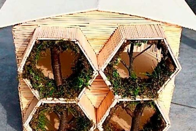 Das Honeycomb-Modell orientiert sich am Wabenbau der Bienen.  | Foto: Schule