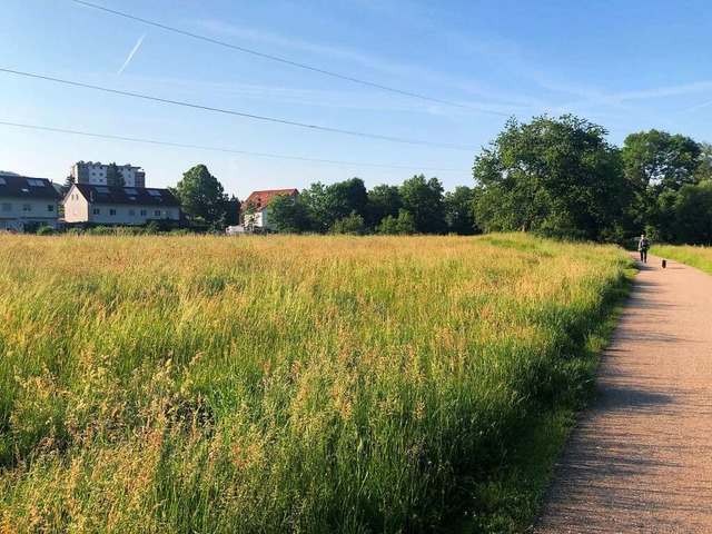 Hier htten die Wohnungen gebaut werden sollen.  | Foto: Monika Weber