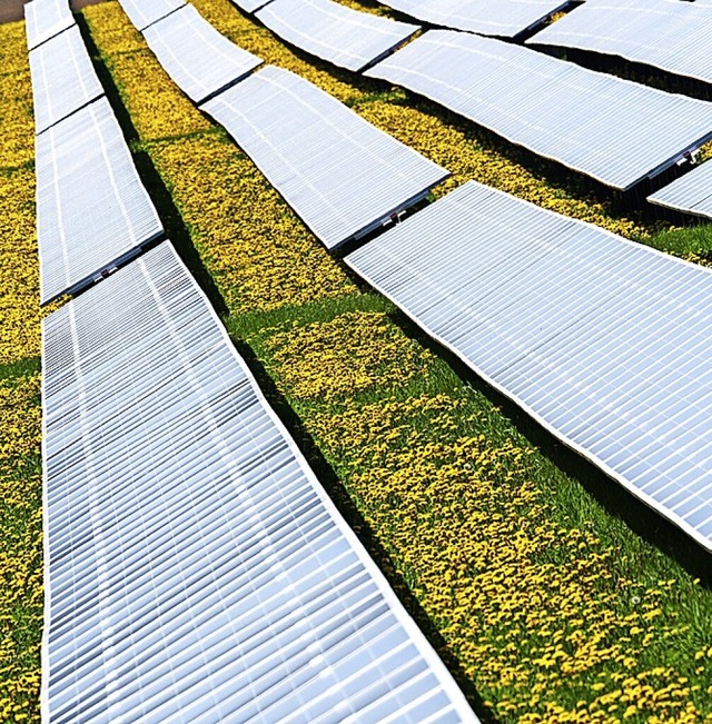 Thema im Gemeinderat Schnau: Photovoltaikanlagen auf Freiflchen  | Foto: Nicolas Armer