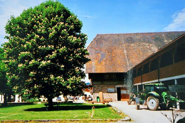 Der Baldenwegerhof in Stegen-Wittental...Ausflugsziel fr Familien mit Kindern.  | Foto: Ingrid Hepperle