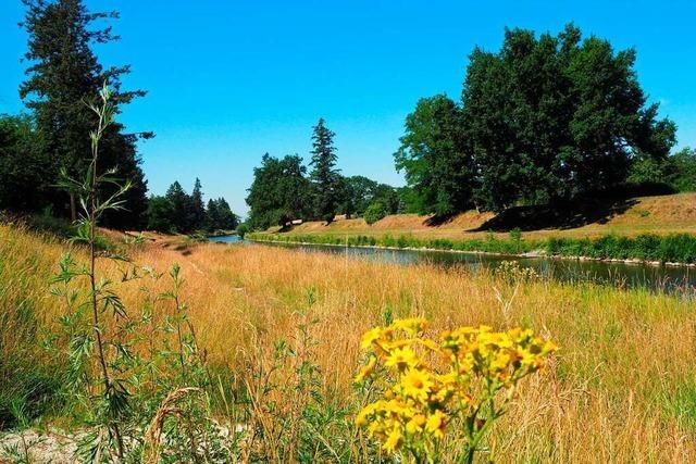 Im Landschaftspark Wiese fhlen sich nicht nur Feldhasen wohl