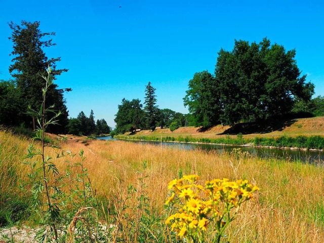 Das vom Fluss Wiese durchflossene Gebiet ist reich an Tier- und Pflanzenarten.  | Foto: Rangerdienst Landschaftspark Wiese