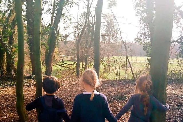 Ab Herbst bernimmt die Stadt Weil die Trgerschaft fr den Waldkindergarten