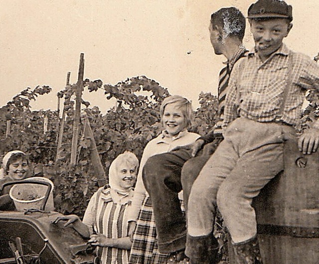 Foto aus den Wettelbrunner Reben im Jahr 1962  | Foto: Rainer Ruther