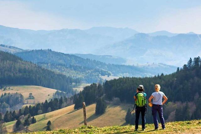 Mssen Tagestouristen im Hochschwarzwald bald einen Euro berappen?