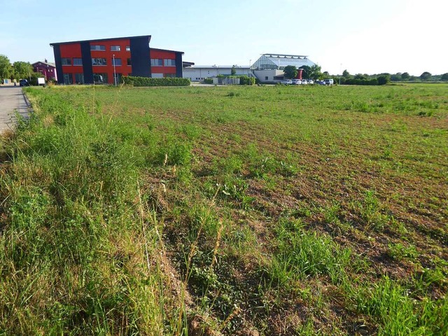 Dieses Feld  am jetzigen Rand des Merd...dort fr ein  Bikezentrum im Gesprch.  | Foto: Manfred Frietsch