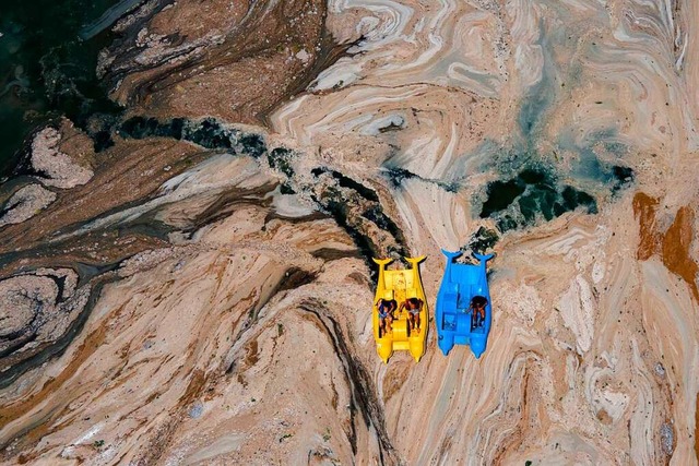 Seerotz auf dem Marmarameer  | Foto: YASIN AKGUL (AFP)